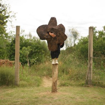 “Floresta” llegará a la Sala de Arte Público Siqueiros con una reflexión sobre territorio, naturaleza y memoria