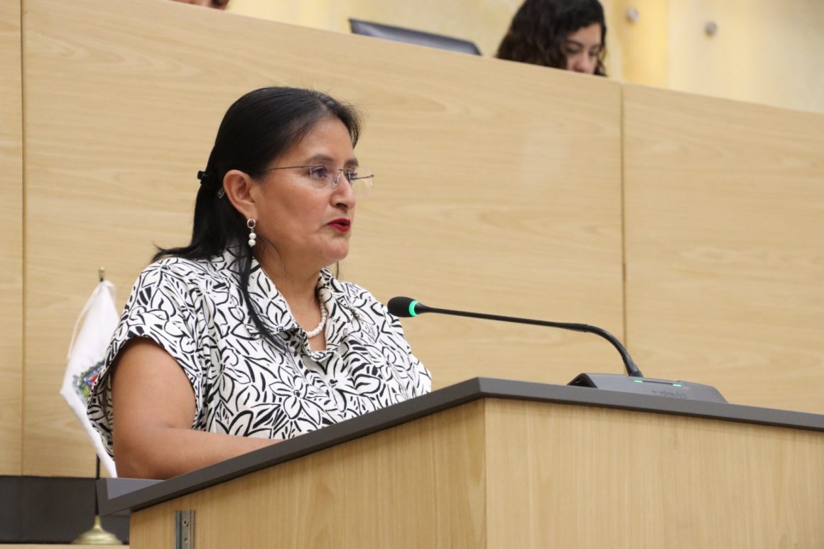 Diputada Esther Martínez propone reforzar verificación de candidaturas indígenas en Puebla