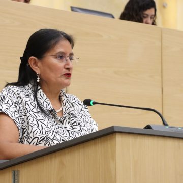 Diputada Esther Martínez propone reforzar verificación de candidaturas indígenas en Puebla